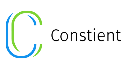 Constient Global Solutions