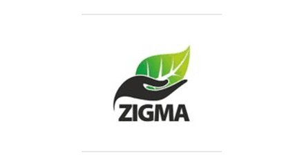 Zigma Global Environ Solutions
